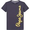 Pepe Jeans Waldo, T-shirt Bambini e ragazzi, Grigio (Phantom Grey),4 anni