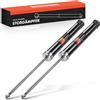 Frankberg 2x Ammortizzatori per sospensioni Ammortizzatori per telaio Posteriore sinistro destro 630mm Pressione del gas Compatibile con T.i.g.u.a.n 5N Q3 8UB 8UG Replace# 349067,5N0513049K