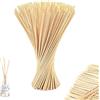 Heting-YQ 100 Pezzi Bastoncini per Diffusori Bastoncini di Diffusore di Oli Essenziali Bastoncini per Profumatori per Casa, Ufficio, Spa e Camera da Letto, 200 * 3MM (Naturale)