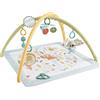 Fisher-Price Palestrina neonato multisensoriale -0m+ Fisher Price