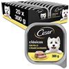 Cesar Cibo umido in gelatina per cani sapore pollo e fegato (confezione da 20 x 300g)