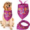 AOOGON Bandana per cani, per compleanno, sciarpa a triangolo per cani, lavabile, regolabile per animali domestici, per piccoli, medi e grandi