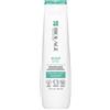 BIOLAGE Scalpsync Shampoo 250 ML