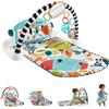 Fisher Price: Palestrina Baby Piano Smart Stages HWY53