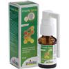 BOIRON Srl PROPOLIS SPRAY ADULTO 15ML