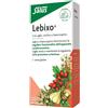 SALUS HAUS Gmbh & Co KG LEBIXO-45 CPS