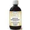DR.GIORGINI SER-VIS SRL IPPOCASTANO LIQ ANAL GEMMO 10+