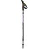 Fizan Speed bastoncini nordic walking