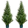 Leflos Albero di cedro artificiale, albero di Cipresso finto di 120 cm, albero di cipresso artificiale deco per soggiorno, ufficio, festival e festa, 2 pezzi