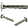 AGBERG - Viti a testa tonda M10 x 120 mm (10 pezzi) con dado quadrato, in acciaio inox VA A2 V2A, completamente filettate, antiruggine, DIN 603 - ISO 8677