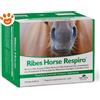 NBF Lanes Horse Ribes Respiro - Confezione Da 10x25 ml