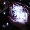 Capaneus Mini luci a LED, 60 pezzi, mini luci a LED, sfere luminose, piccole sfere a LED, per lanterna di carta, compleanno, matrimonio, festa di Natale (bianco freddo)