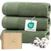 Ferò Set Asciugamani Ospite Lusso 3 Pezzi, Cotone Premium 100% 550 g/m², OEKO-TEX, Asciugamani Piccoli Ultra Morbidi e Assorbenti, Design Italiano, Asciugamani Bidet 30x50 cm, Verde