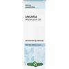 Erba vita UNCARIA CORT TINT IAL 50ML EBV