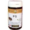 GOLDEN WAVE Srl PS 60CPS