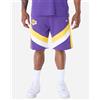 New Era Panel Lakers M - Abbigliamento Basket - Uomo - Viola