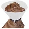 DLM Srl COLLARE Elisab. 12,5cm S Vet.