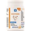LABORATOIRE NUTERGIA Ergycebe Integratore Multivitaminico 90 Capsule