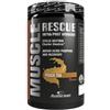ANDERSON Muscle Rescue Intra-Post Workout Peach Tea - Barattolo 540 g Thé alla Pesca