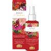 helan Rosso d'ambra deodorante profumato spray