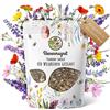 Bienenmagnet Semi di fiori selvatici premium per un prato fiorito colorato - Miscela di semi di fiori colorati e ricchi di nettare per api e farfalle (250 g (per minimo 50 m²))
