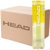HEAD TEAM CARTONE DA 36 TUBI
