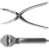Westmark Taglia Castagne, Con Lame Seghettate, Lunghezza: 20 cm, Acciaio Inox, Argento, 40422260