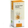 GHEOS SRL Cordyceps Integratore 90 Capsule