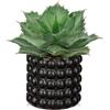 Hollyone Piante grasse finte in vaso nero a bolle, 21,8 cm Agave Potatorum artificiale smerigliata, piante finte per decorazione di interni per arredamento casa, scrivania ufficio, davanzale, bagno