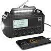 ROCAM Radio Portatile, Solare Radio a Manovella, Radio DAB+/DAB/FM Emergenza, 5000mAh Batteria Ricaricabile e USB, LED Torcia e Luce di Lettura, SOS Sopravvivenza, Display LCD, Jack per Cuffie