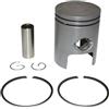 cyclingcolors Pistone e fasce elastiche moto ciclomotore motore 50cc compatibile con piaggio zip typhoon nrg liberty gilera talker