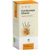 Cordyceps gheos 90 capsule da 540 mg