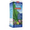 Winter - Planta Slim Depuraty
