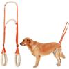 SNSYGN imbracatura per cani, pettorina anti tiro per cani guinzaglio cane imbracatura per sollevatore disabili imbracatura cane per le zampe posteriori per cani di età