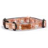 Preziosi Pet - Collare Per Cani Traspirante, Taglia S, In Nylon, Collare Resistente E Regolabile, Collarino per Animali Adulti E Cuccioli