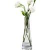 TOPWEL Vaso da fiori in vetro soffiato fatto a mano, vaso da fiori in vetro soffiato a stelo singolo, vaso centrotavola per matrimoni, ricevimenti, tavolo da pranzo, fiori singoli di rose (trasparente)