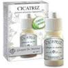 DR.GIORGINI SER-VIS Srl CICATRIZ Polv.10g