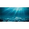 MIRRORANG 61x30cm Sottomarino Tema Acquario Sfondo Sole Subacqueo Mondo Pesce Serbatoio Poster Sfondo Vinile Sfondo