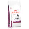 Royal Canin V-Diet Renal Select Cane 10KG