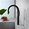 Fortis Mosa extend rubinetto da cucina con 2 tipi di getto, orientabile, bocca estraibile, 0959100BB, Mosa nero spazzolato [Rubinetteria da Cucina > Rubinetti da Cucina]
