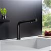 Fortis Brera top rubinetto da cucina, 7857900BB, Brera nero spazzolato [Rubinetteria da Cucina > Rubinetti da Cucina]