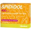 Spididol 24 Compresse Rivestite 400Mg