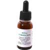 ALKAEST SRL Alkaest Mts6 Cordyceps Gocce Flaconcino 20 Ml