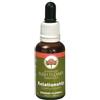 Green Remedies Relationship Bush Flower 30 Ml