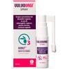 Erbagil Vulvovagi Spray Per Vulvovaginiti E Secchezza Vaginale 20 Ml
