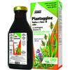 SALUS HAUS Gmbh & Co KG Salus Piantaggine 250ml
