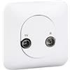 Schneider Electric Ovalis - Presa Tv/Fm, 1 ingresso, fissaggio tramite viti con piastra bianca