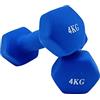 Generisch Set di 2 manubri corti Hexagon Aerobic da 4 kg