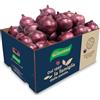 Antonio Ruggiero patate dal 1889 Cipolle RUGGIERO rosse ZUPPE E INSALATE Box 5 kg