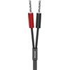 AudioQuest Cavo LS-Kabel Q2 Nero 3 m con Sure Grip 100 Silver BFA
